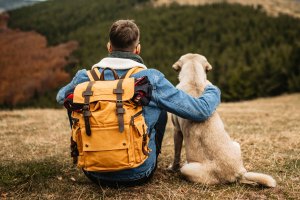 The Benefits of Pets: Man's Best Therapist